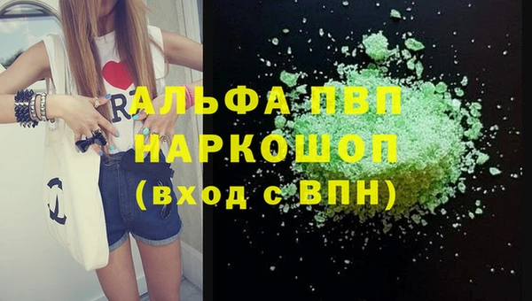 СК Нефтегорск