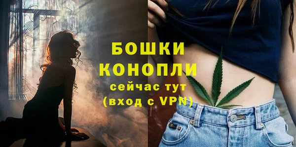 гидропоника Новокубанск