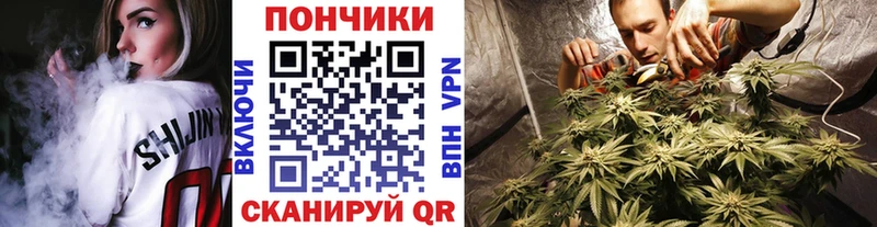 купить закладку  Краснозаводск  shop официальный сайт  Бошки марихуана AK-47 